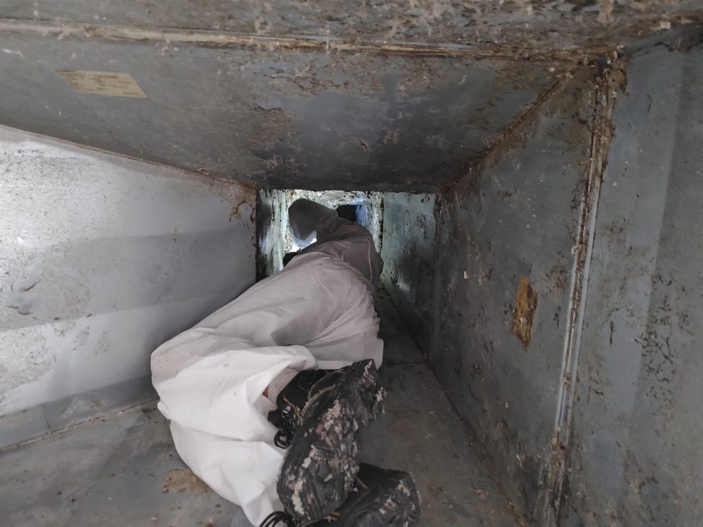 IMG_20240816_105004798